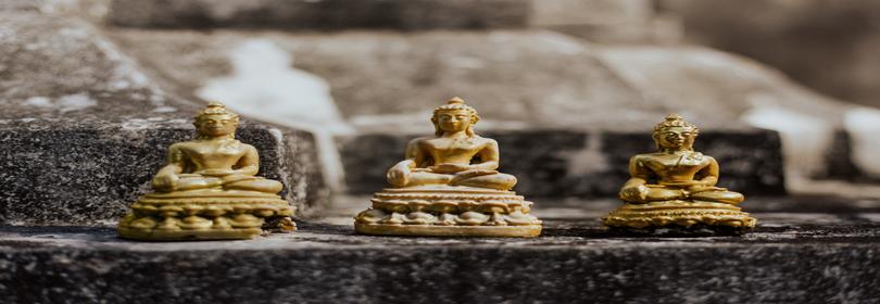 临风听暮蝉
